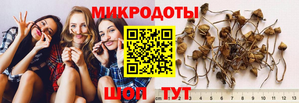 Дмитров  Галлюциногенные грибы прущие грибы  Вход с VPN  Псилоцибиновые грибы Magic Shrooms 